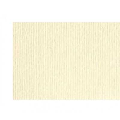 Cartulina Elle Erre 50x70 cm ONICE 220 gramos Fabriano