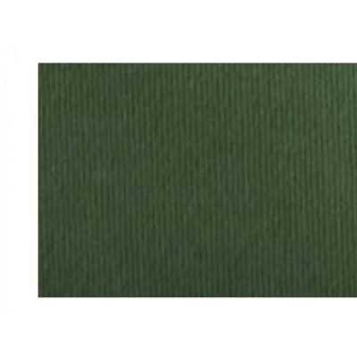 Cartulina Elle Erre 50x70 cm VERDONE 220 gramos Fabriano