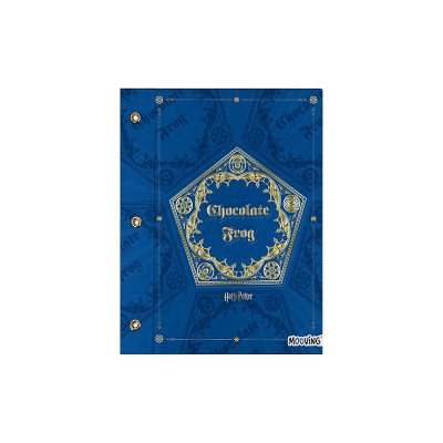 Carpeta nº 3 con cordon Harry Potter I Mooving